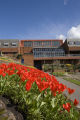Spring in Tamworth Upper Castle grounds.